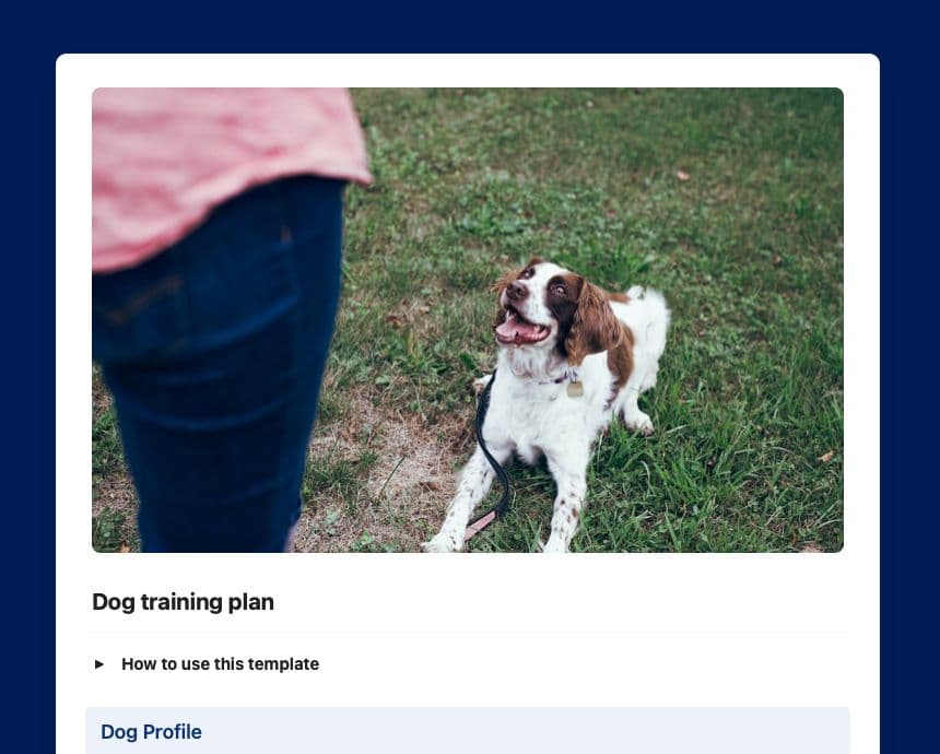 Craft Free Template: Dog training plan